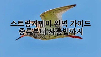 스트링거꿰미 완벽 가이드: 종류부터 사용법까지🎣✨