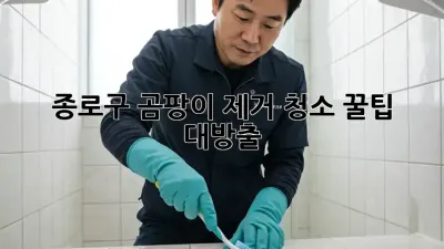 종로구 곰팡이 제거 청소🚨 꿀팁 대방출! 🏡✨
