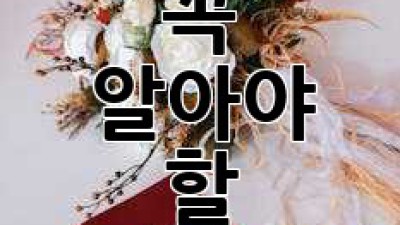 혼인신고: 결혼 후 꼭 알아야 할 절차와 꿀팁! 💖